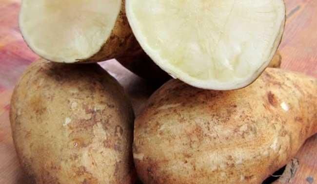 雪莲果外皮染红色