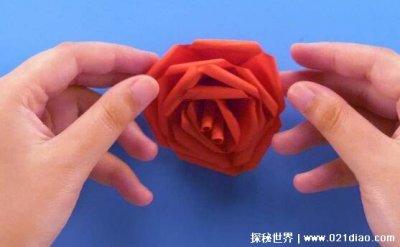 ​diy是什么意思 网络语salute是什么意思