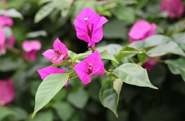 幽默一点的名字大全