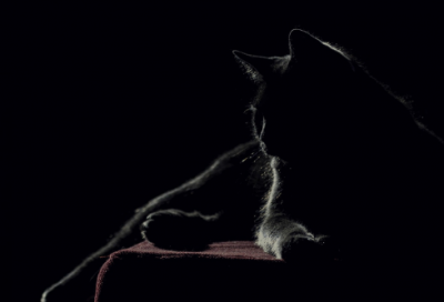 ​八字起名免费生辰八字取名字参考690个