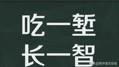 ​2025年全国名校模考作文（959）“吃一堑长一智”&不容易长一智