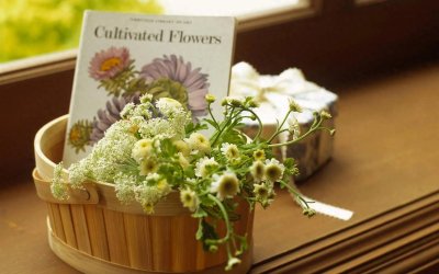 ​成为一名精致女性 需要以下几点