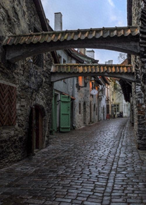 美丽的国家爱沙尼亚