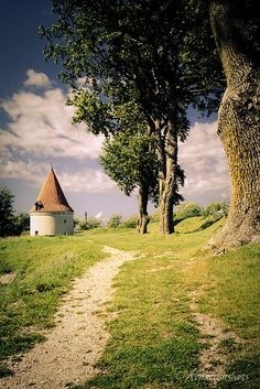 美丽的国家爱沙尼亚