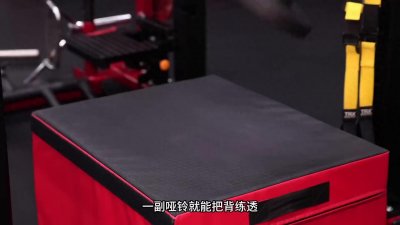 ​一副哑铃就能把背练透，5个动作兼顾力量与围度