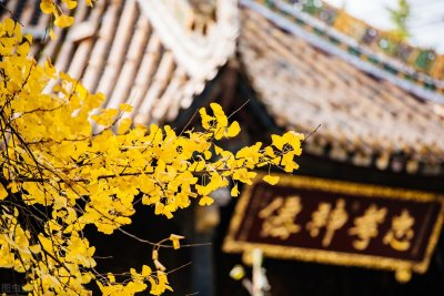 ​道家思想的精髓是什么？