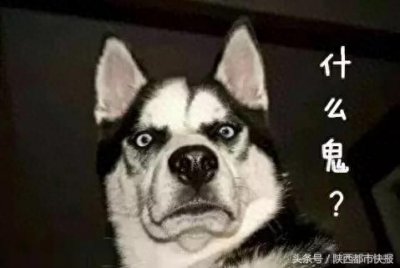 ​开车门舞火遍全球 惊动了全世界的警察？西安交警说……