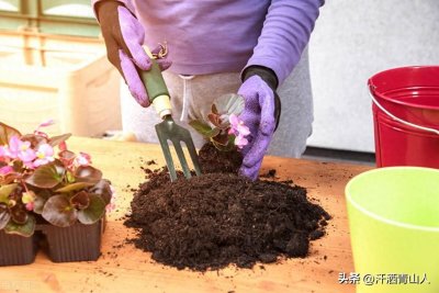 ​自制营养土，大棚蔬菜育苗不求人