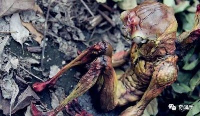 ​地球真的曾存在史前文明？这些“证据”都是假的，别再被骗了