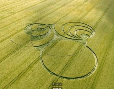 ​麦田怪圈：神秘面纱下的惊人事实，你敢看吗？