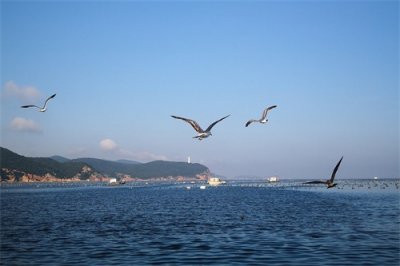 ​大连旅顺口，人们都说：一座旅顺城，浓缩了中国半部近代史