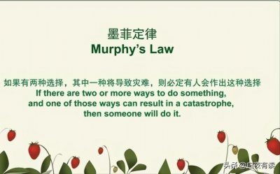 ​情感中的墨菲定律：了解这5点，让你更懂爱情和婚姻