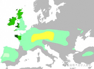 ​让我们看看凯尔特人的基因有何特点？