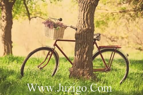 犀利爱情句子162句