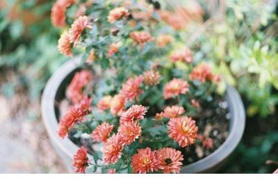 关于大学毕业季的句子