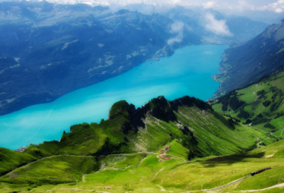 ​崔万志经典语录(崔万志的经典语录)