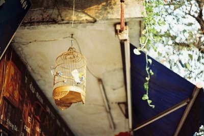 ​爱情想念的句子57句