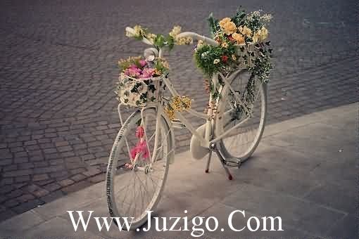 话精致早安问候语 早安最短精句暖心情话(精选85句)