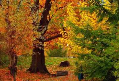 ​爱情的个性签名(精选300条)