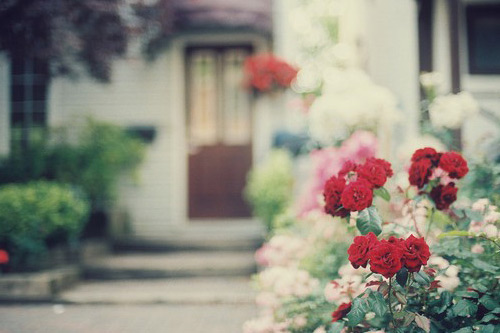 情侣吵架经典语录84句