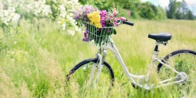 ​午后阳光唯美意境句子 身边有你很充实很惬意