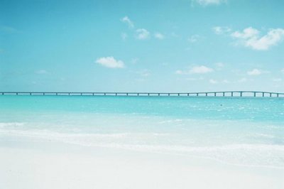 ​爱情励志格言70句