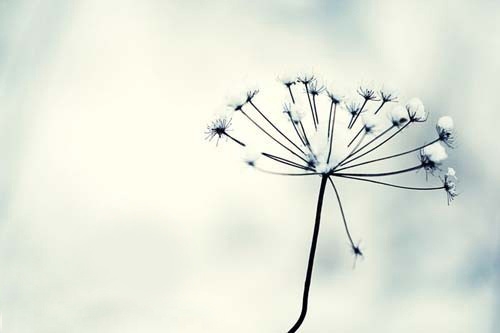 造一句排比句43句