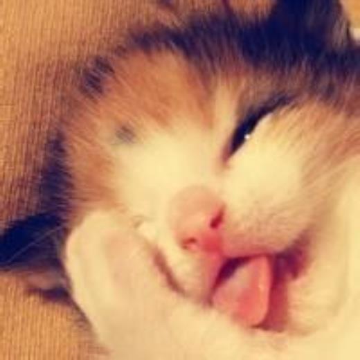 最温馨的晚安心语句子