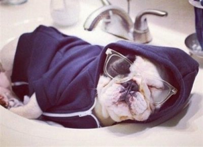 ​吃醋的句子 吃醋了很伤心的句子76句