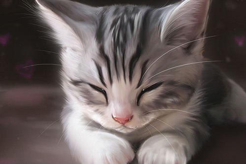 关于爱情说说80句