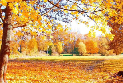 ​深情表白的一段话,一段感动到哭的表白