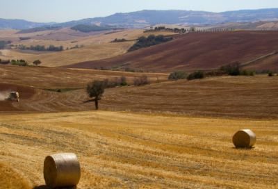 ​对爱人的表白词，对爱人表白的语句(50句)