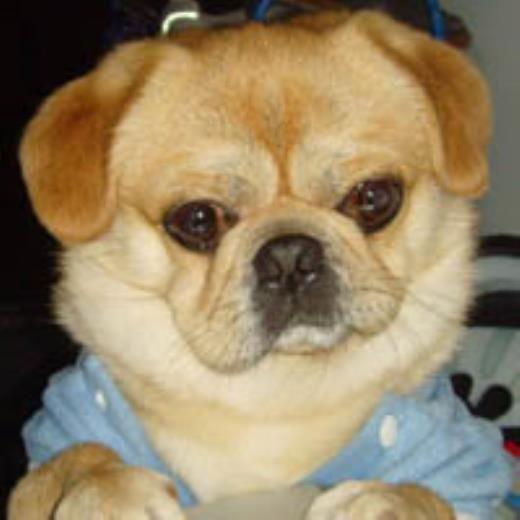 一句话唯美爱情语录