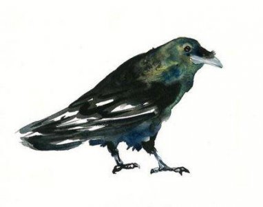 ​优美的古风爱情句子51句