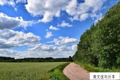 ​最精辟人生哲理语录短句(人间清醒大格局语录)