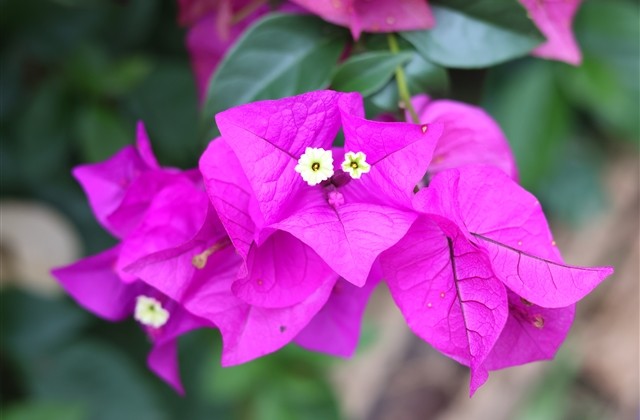 浪漫点的男生网名(共174个)