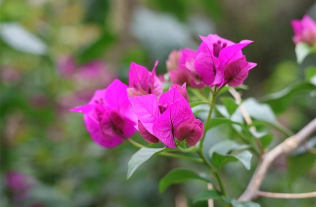 创意有趣的男生网名(181个)