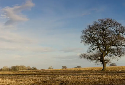 1688422835453285.png image.png