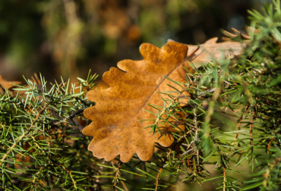 ​关于爱情的qq网名，醉人心扉汇总(推荐)