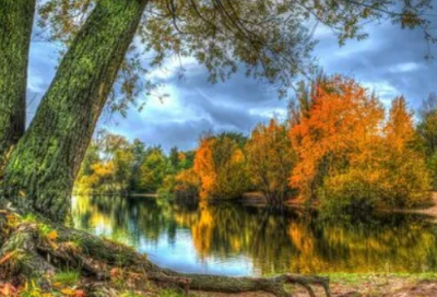 ​送朋友花卡片内容表白简短，最新送花卡片内容表白简短语录(46句)