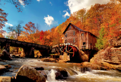 ​爱情谚语大全(64句)