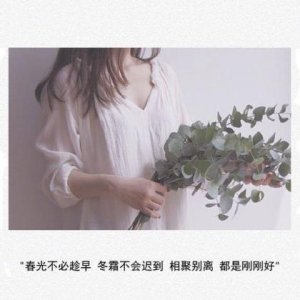 ​qq个性签名唯美小清新