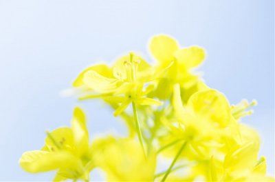 ​性幸福爱情说说85句