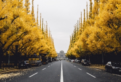 ​吊爆了的搞笑网名400个