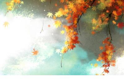 我希望在你的爱情里