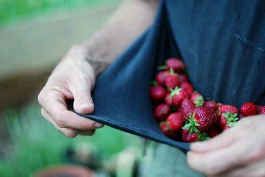 不后悔爱过你的句子