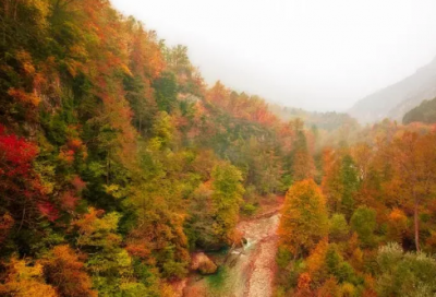 ​七夕表白语录简短，七夕表白语录(17句)