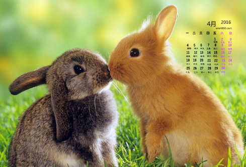 1687503947714565.png image.png