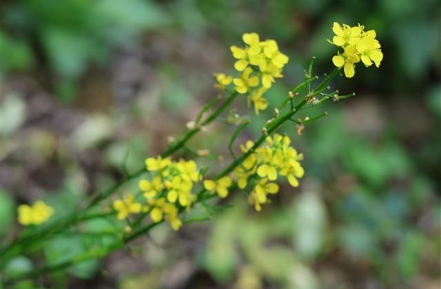 最火游戏网名排行名字 最火游戏网名排行名字