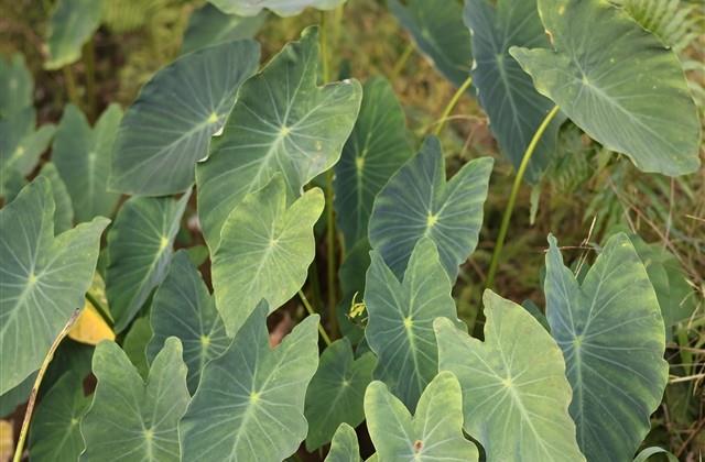 最火游戏网名排行名字 最火游戏网名排行名字